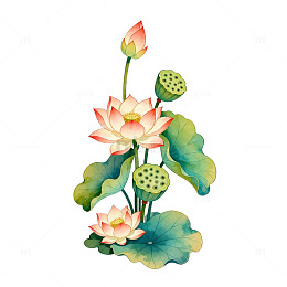 水墨荷花淡雅插画设计素材