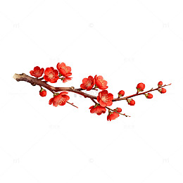 梅花枝插画设计素材