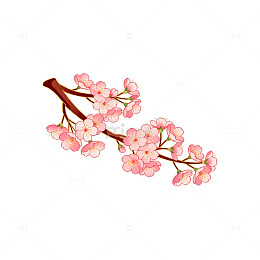 樱花插画清新淡雅素材