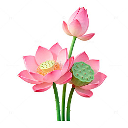粉色荷花装饰仿真花卉