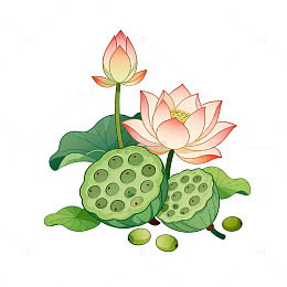 卡通荷花荷叶矢量插画素材