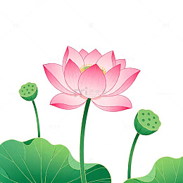 粉色荷花卡通插画素材