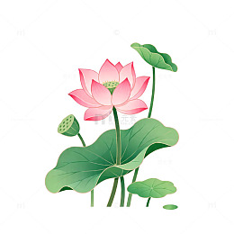 卡通荷花矢量图设计素材