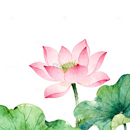 水彩荷花水墨中国画素材