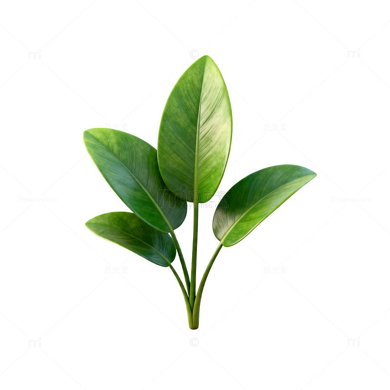 绿色植物枝叶插画