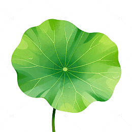 绿色荷叶矢量素材