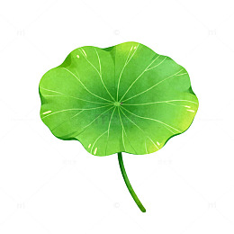 绿色荷叶卡通矢量插画素材