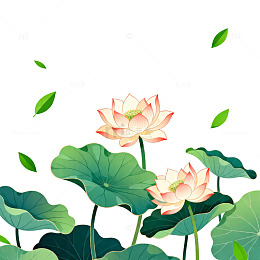 荷塘清韵插画设计素材