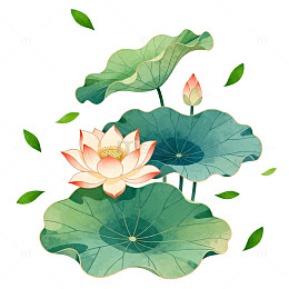 水墨风荷花荷叶插画设计素材