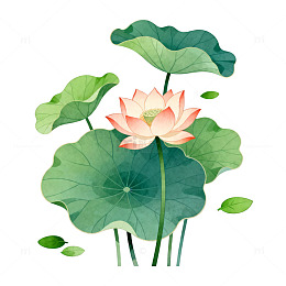 水彩荷花矢量插画