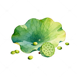 水彩荷叶莲子设计素材