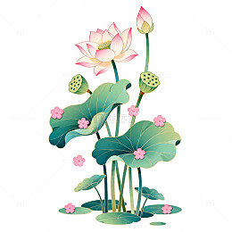 插画风荷花莲蓬设计图