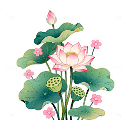 水彩荷花插画设计素材