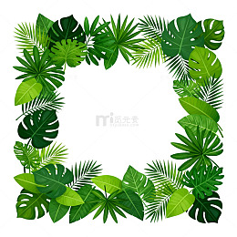 热带雨林边框设计素材