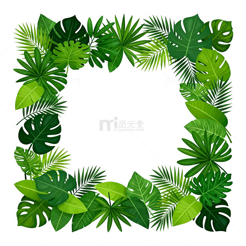 热带雨林边框设计素材