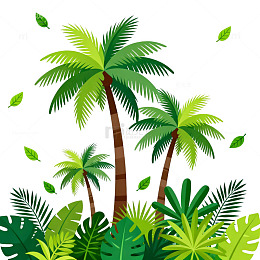 热带风情棕榈树插画素材