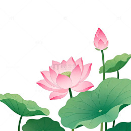 卡通荷花插画设计素材
