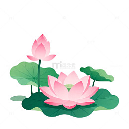 插画风格荷花荷叶矢量素材