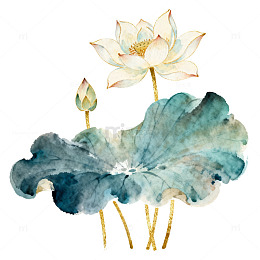 水墨荷花淡雅插画