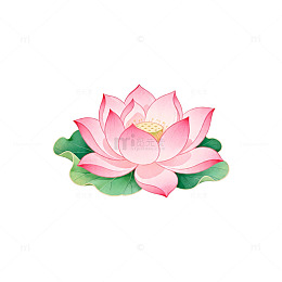 粉色荷花插画设计素材