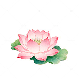 水彩荷花淡雅插画设计素材