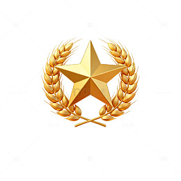 金色星形徽章图案设计