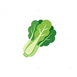 扁平化青菜插画设计素材