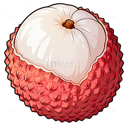 插画风格荔枝手绘水果设计素材