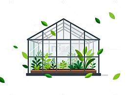 温室植物插画设计