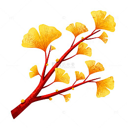 银杏叶插画装饰元素