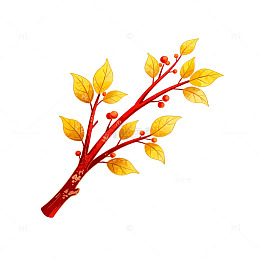 秋意浓郁红叶树枝插画