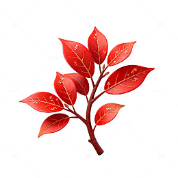 鲜艳红叶植物插画