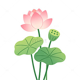 扁平渐变荷花莲蓬清新插画