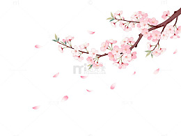 樱花盛开春天景象插画设计素材