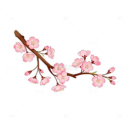 樱花插画春天装饰元素