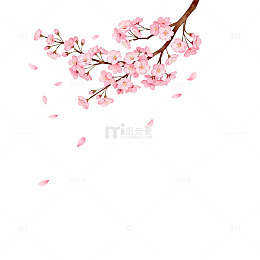 樱花绽放春天插画素材