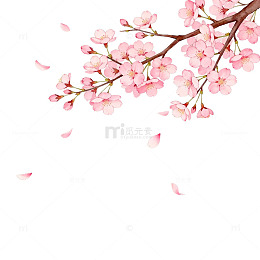 淡雅樱花插画设计素材