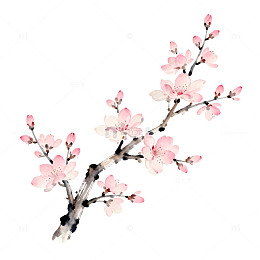 水墨樱花淡雅水墨画