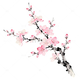 水墨樱花树枝艺术插画