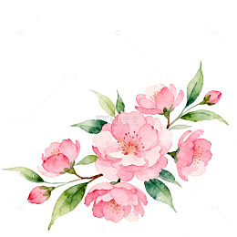 水彩花卉装饰图案