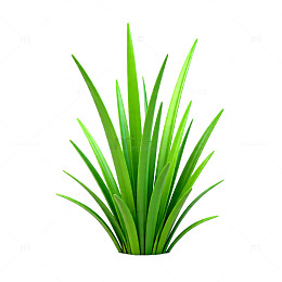 3D渲染绿色植物盆栽设计素材