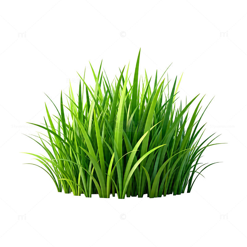 3D绿草模型素材