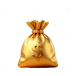 金袋财富象征