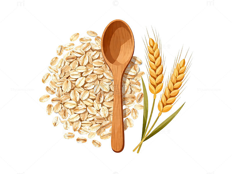 简约风燕麦片插图素材