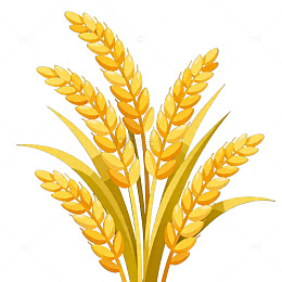 金色麦穗简约几何背景设计素材