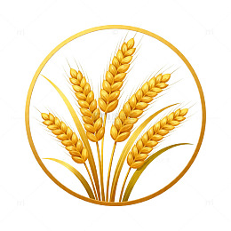 轻国风麦穗商业设计素材