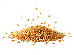 金黄小麦堆片