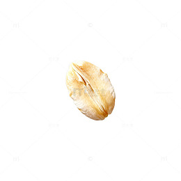 简约小麦种子特写片