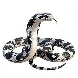 3D蛇模型渲染图