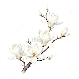 玉兰花枝卡通图案